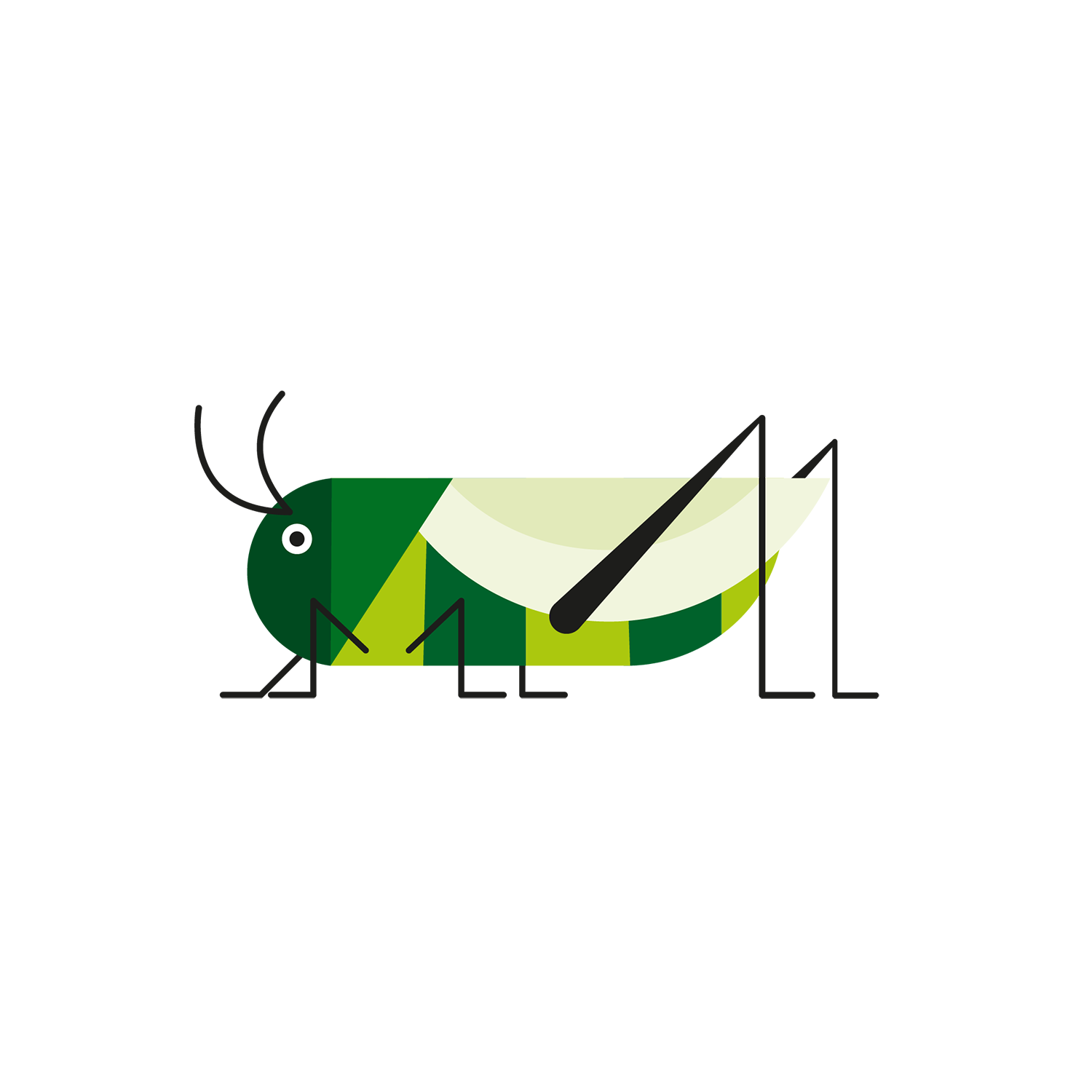 http://Grasshoppers