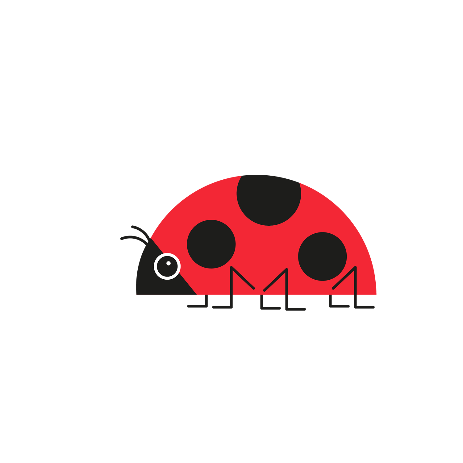 http://Ladybirds